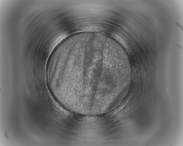 X0000096151087200802081406