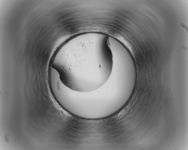 X0000096151088200802081406