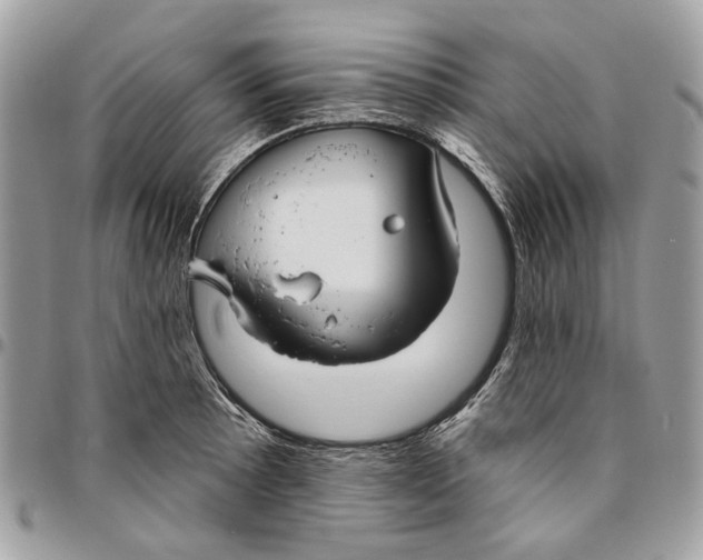 X0000096151089200802081406