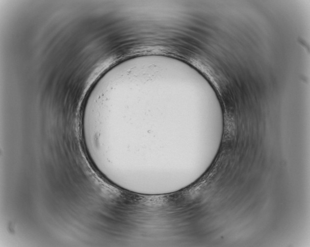 X0000096151090200802081406