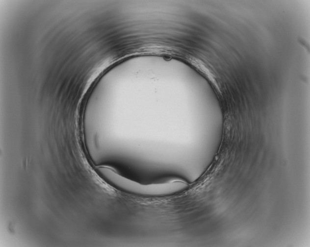 X0000096151091200802081406