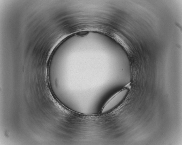 X0000096151092200802081406