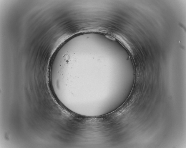 X0000096151093200802081406