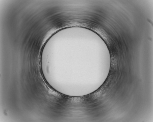 X0000096151094200802081406