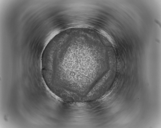 X0000096151095200802081406