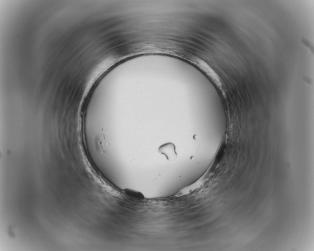 X0000096151096200802081406