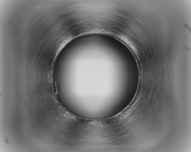 X0000096151097200802081406