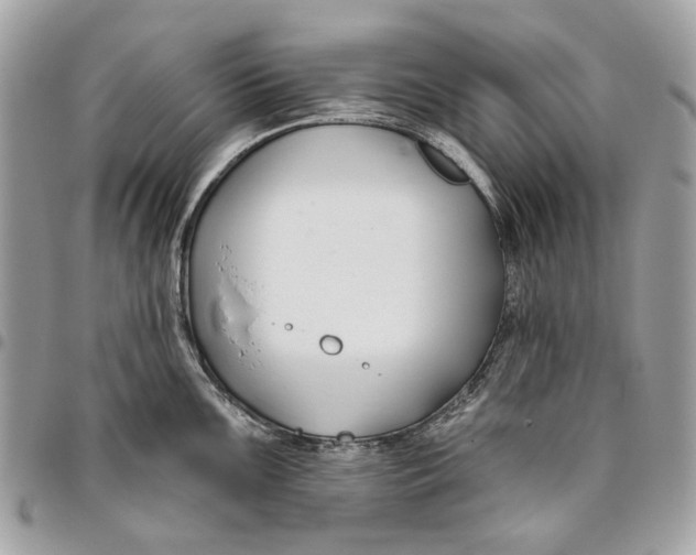 X0000096151099200802081406