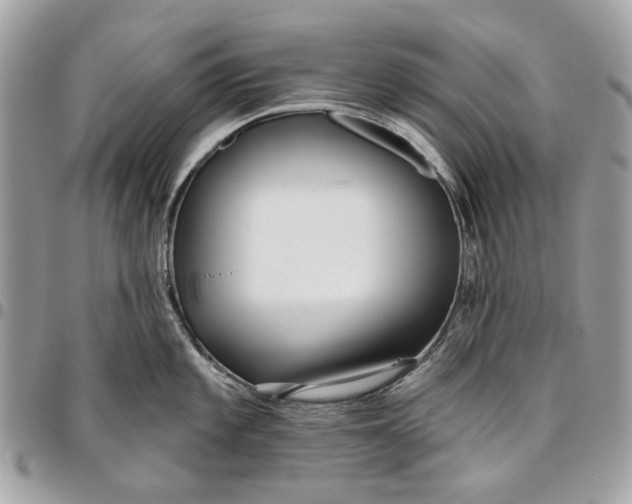 X0000096151101200802081406