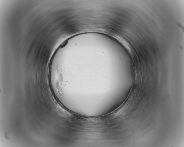 X0000096151102200802081406