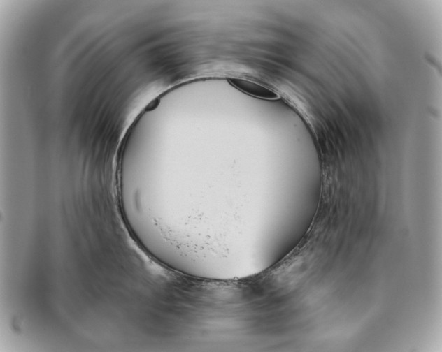 X0000096151103200802081406