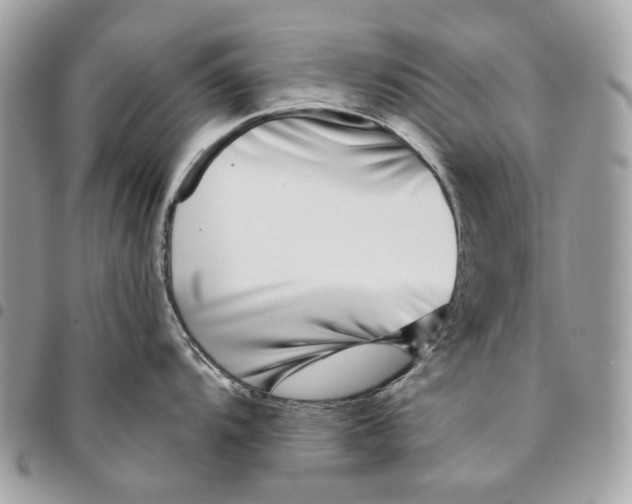 X0000096151104200802081406