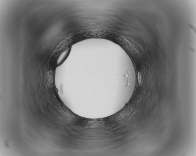 X0000096151107200802081405