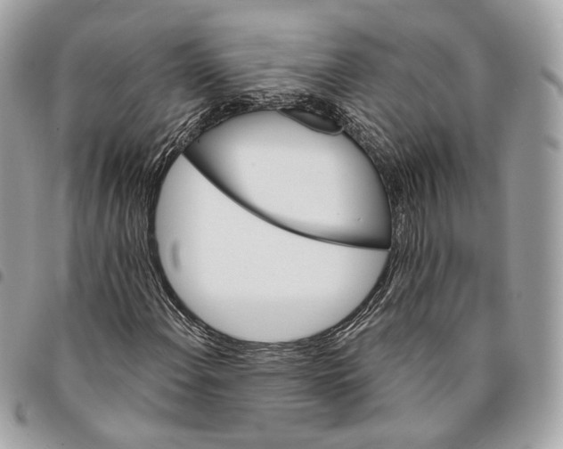 X0000096151108200802081405