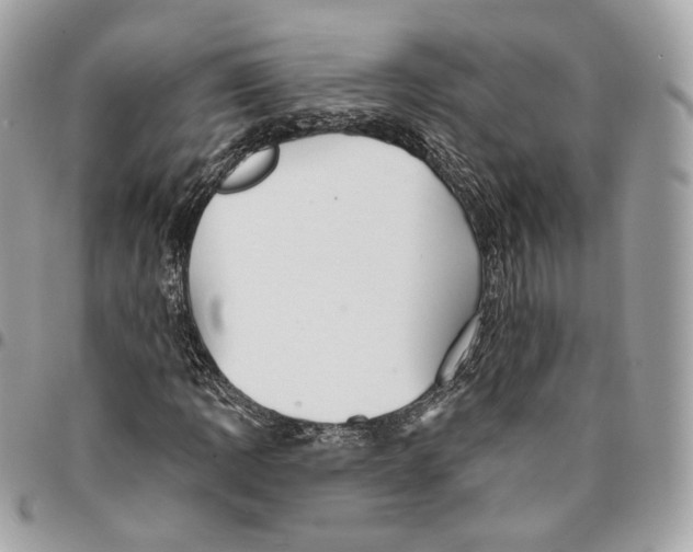 X0000096151109200802081405