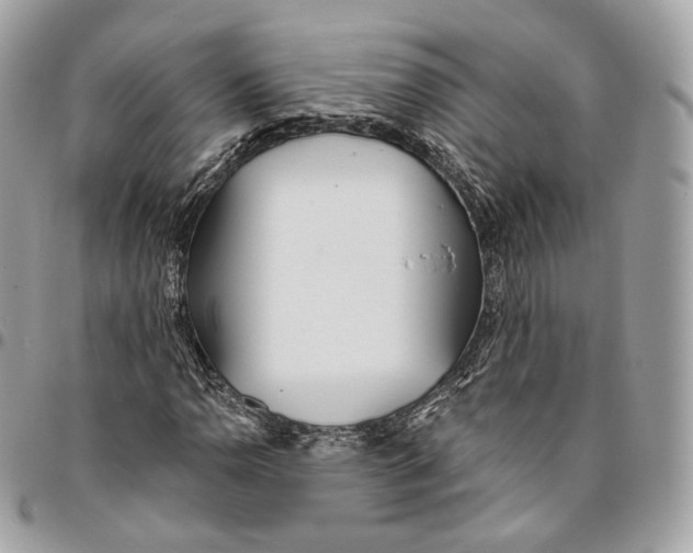 X0000096151110200802081405