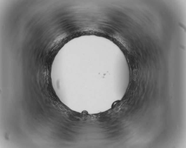 X0000096151111200802081405