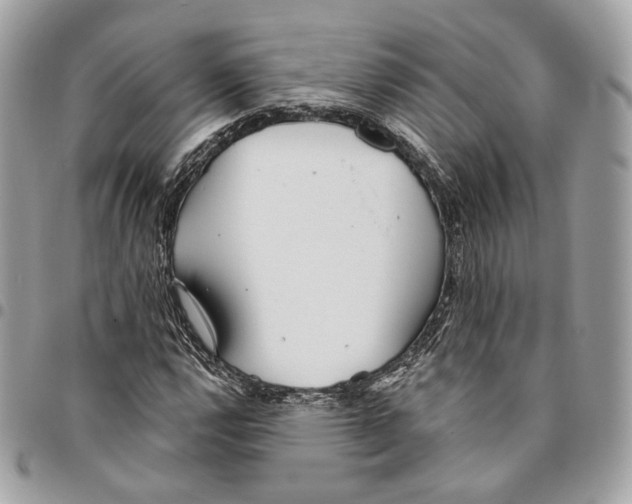 X0000096151112200802081405