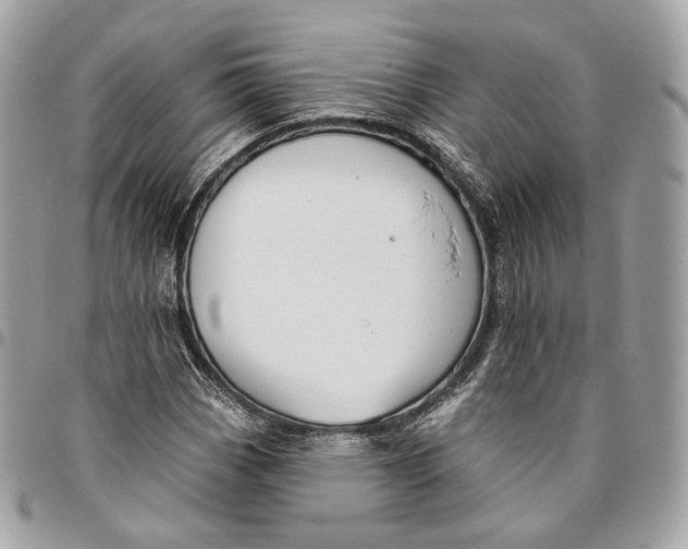 X0000096151113200802081405