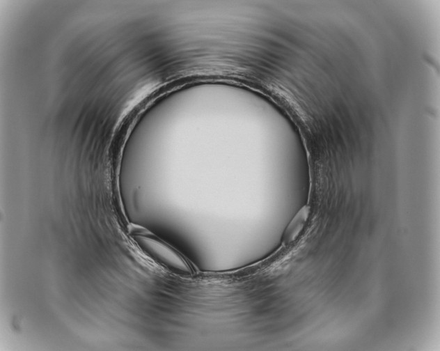 X0000096151114200802081405