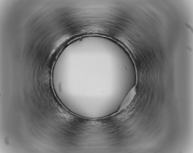 X0000096151115200802081405