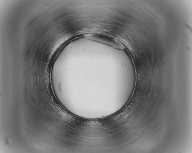 X0000096151119200802081405