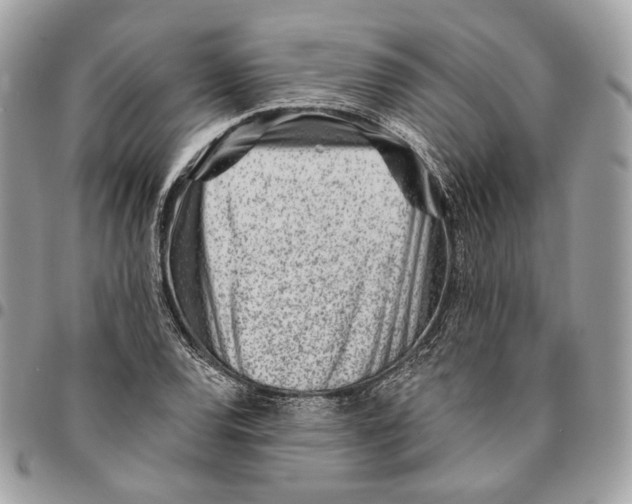 X0000096151120200802081405