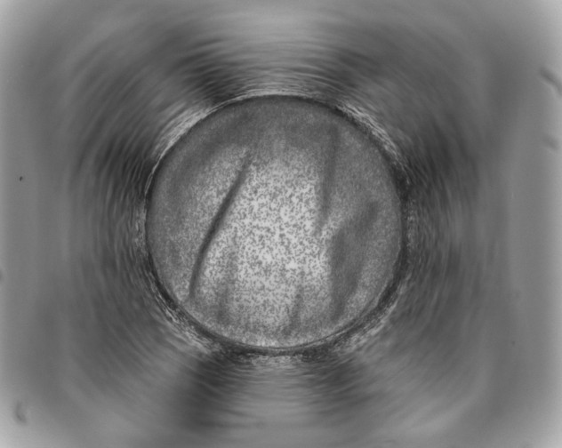 X0000096151121200802081405