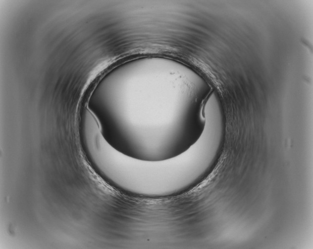 X0000096151122200802081405