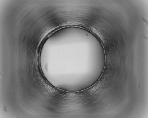 X0000096151124200802081405