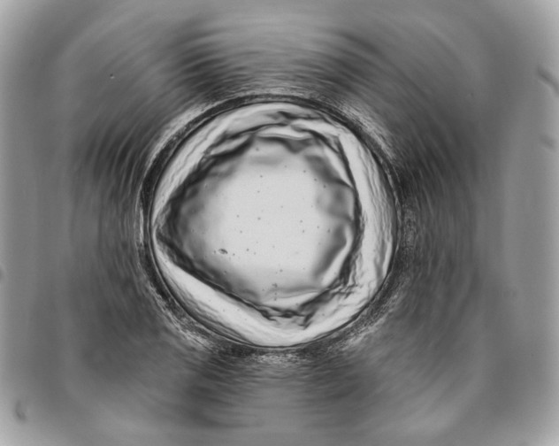 X0000096151125200802081405