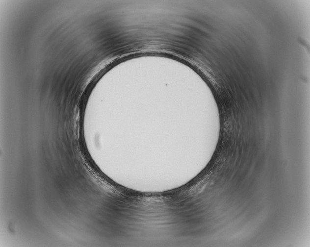 X0000096151126200802081405