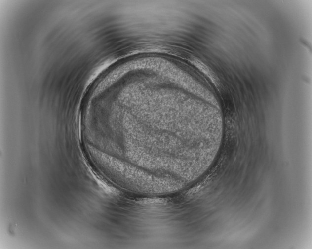 X0000096151127200802081405