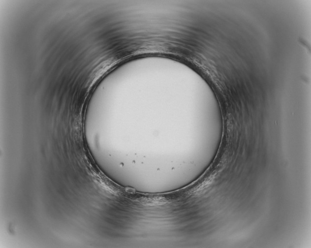 X0000096151129200802081405