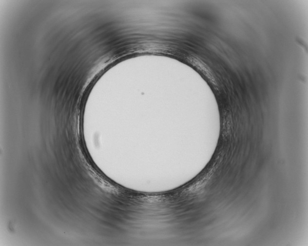 X0000096151130200802081405