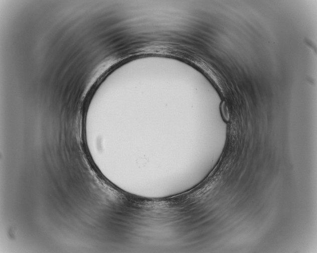 X0000096151131200802081405