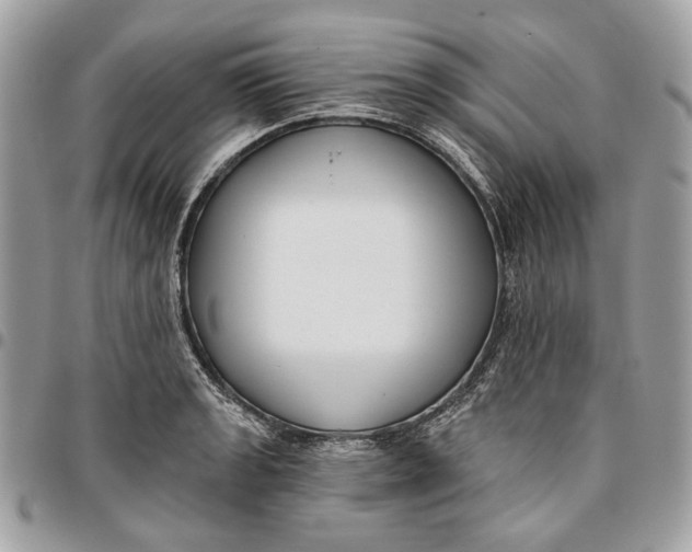 X0000096151133200802081405