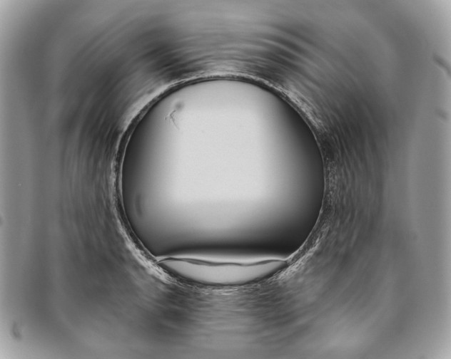 X0000096151134200802081405