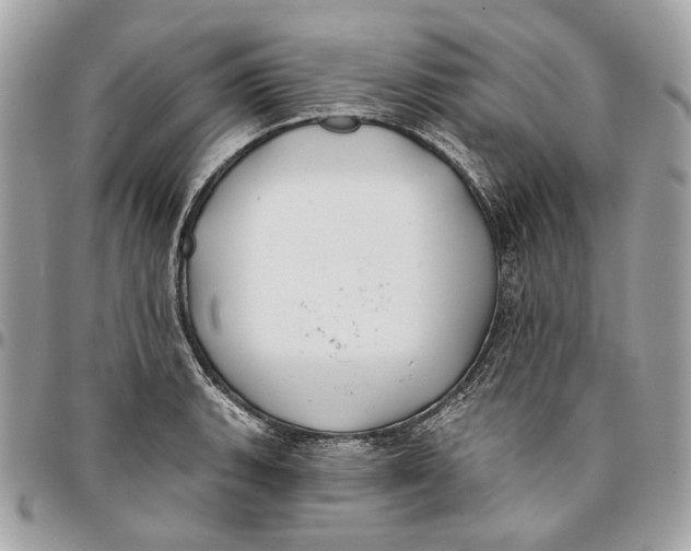 X0000096151135200802081405