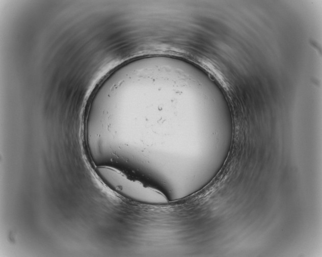 X0000096151136200802081405