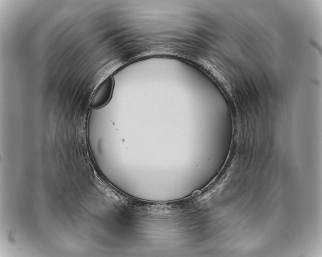 X0000096151137200802081405