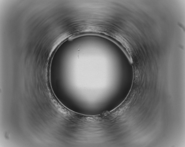 X0000096151138200802081405