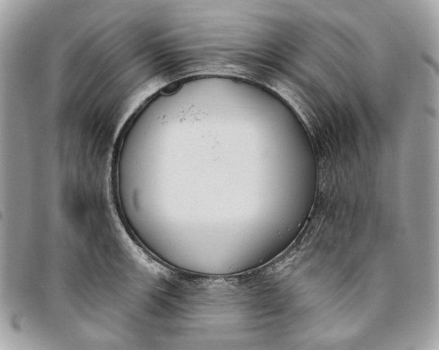 X0000096151139200802081405