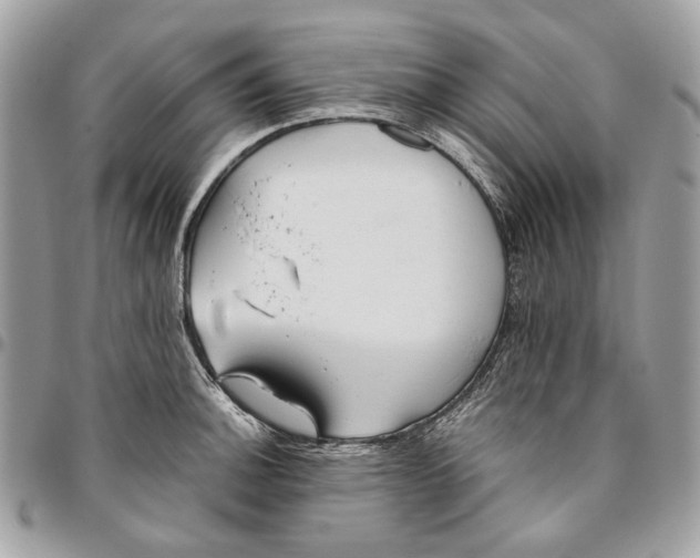 X0000096151140200802081405