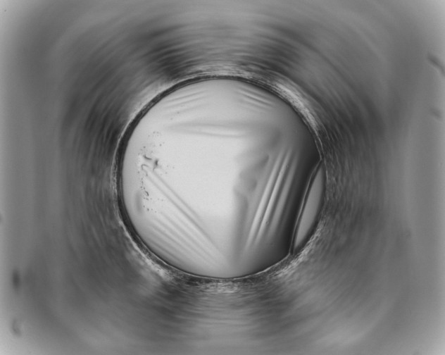 X0000096151141200802081405