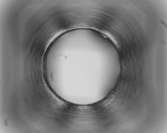 X0000096151142200802081405