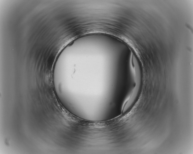 X0000096151145200802081406