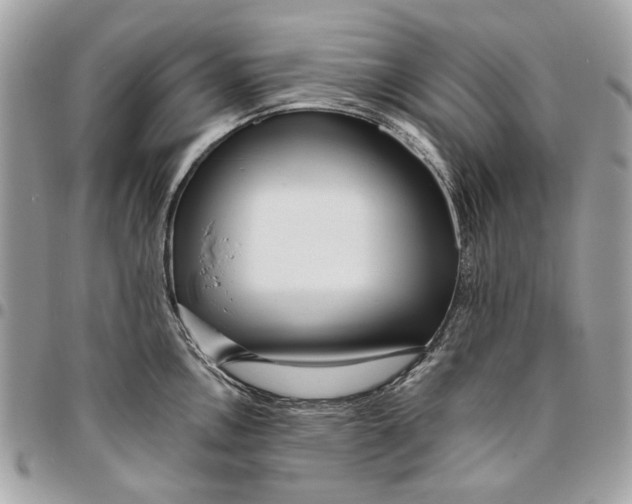 X0000096151146200802081406