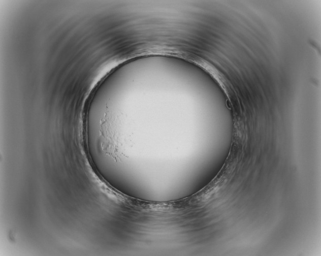 X0000096151147200802081406