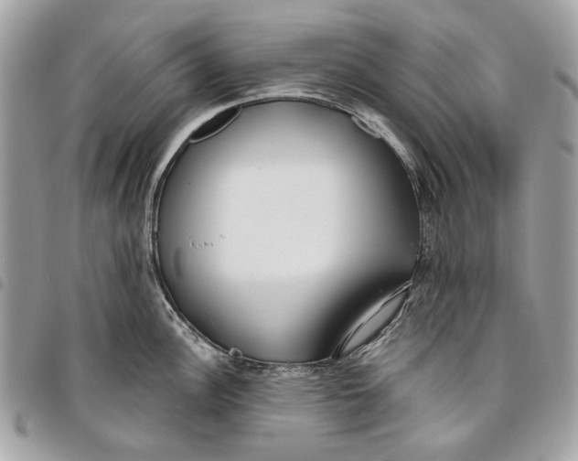 X0000096151148200802081406